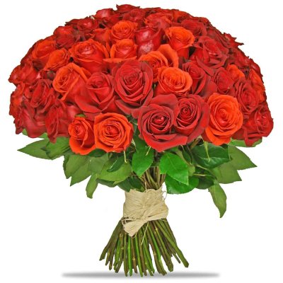 101 rote Rosen