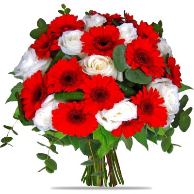 Rote Germini und weiße Rosen