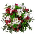 Chrysanthemen und Alstroemerien