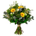 Freesias & Mini Gerberas