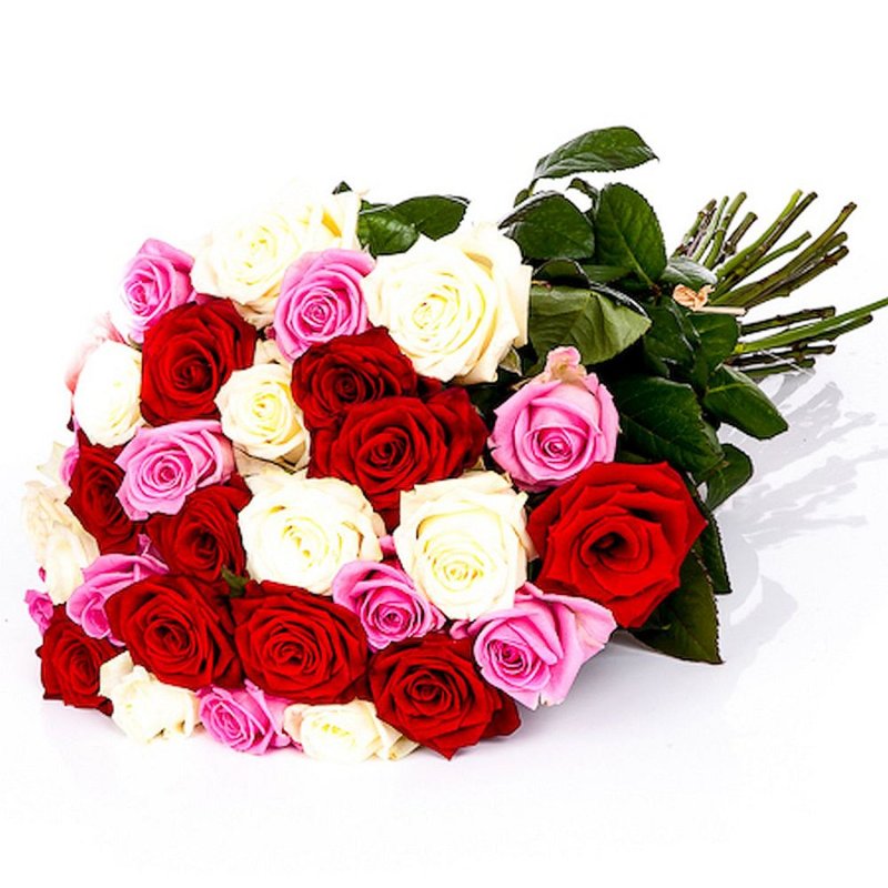 Weiße, rote und rosa Rosen (Stück)