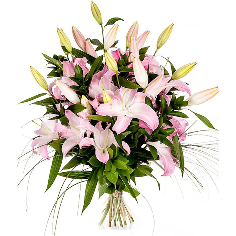 Zauberhafte Lilien