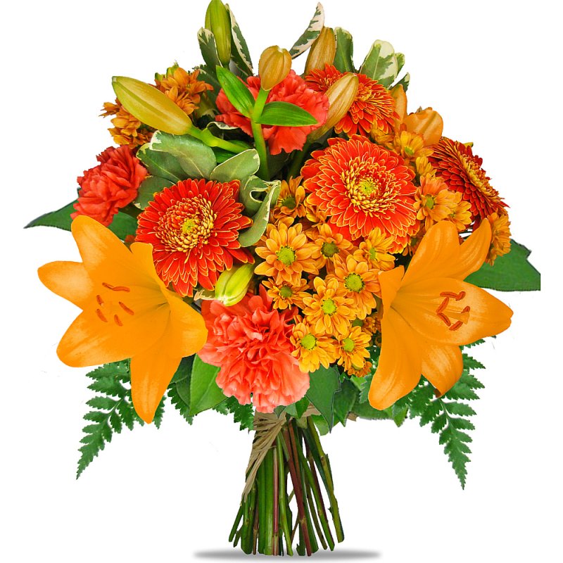 Fiery Orange Surprise